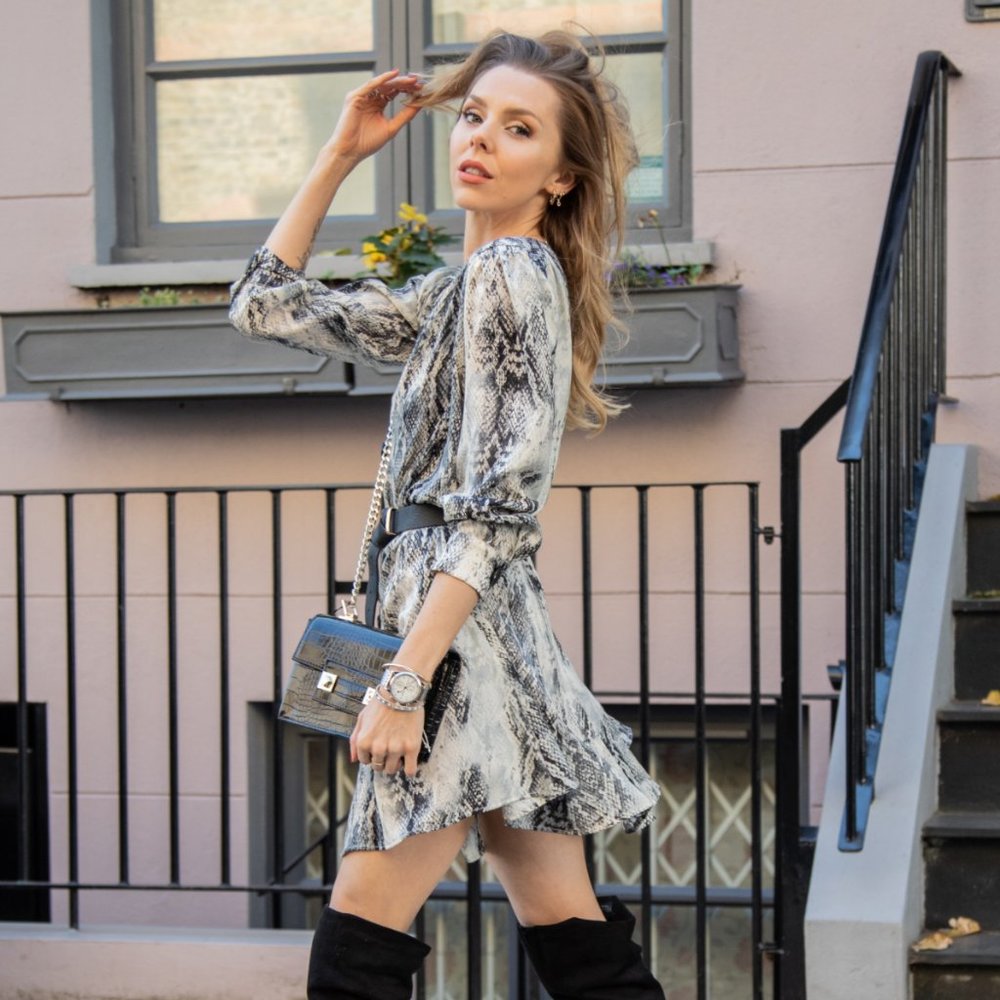 Zara Snake Print Dress